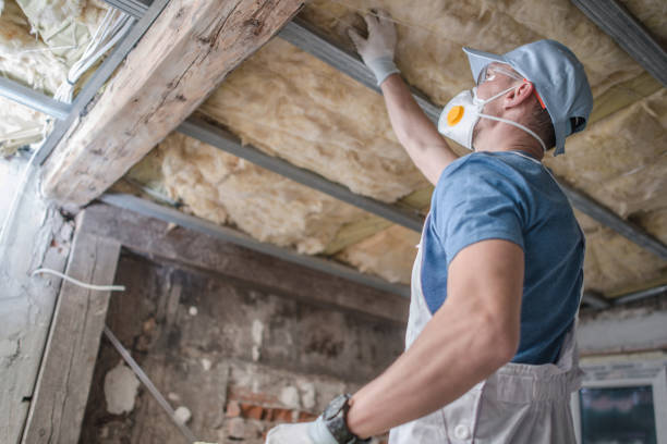 Types of Insulation We Offer in Oakton, VA